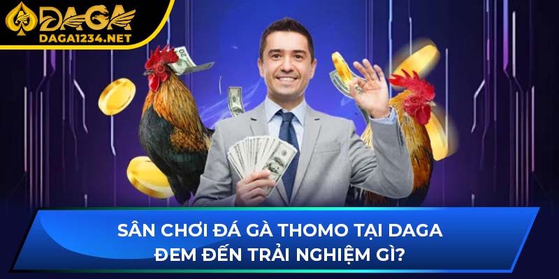Sân chơi đá gà Thomo tại DAGA đem đến trải nghiệm gì?