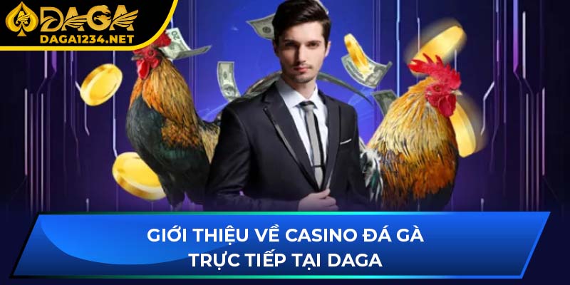 Giới thiệu về casino đá gà trực tiếp tại DAGA