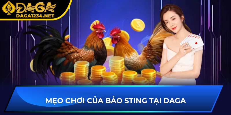 Mẹo chơi của Bảo Sting tại DAGA