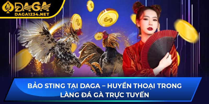 Bảo Sting Tại DAGA – Huyền Thoại Trong Làng Đá Gà Trực Tuyến