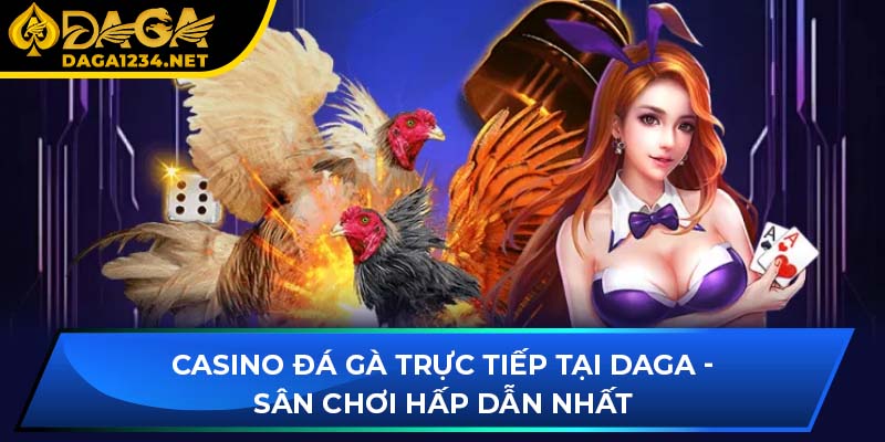 Casino Đá Gà Trực Tiếp Tại DAGA - Sân Chơi Hấp Dẫn Nhất